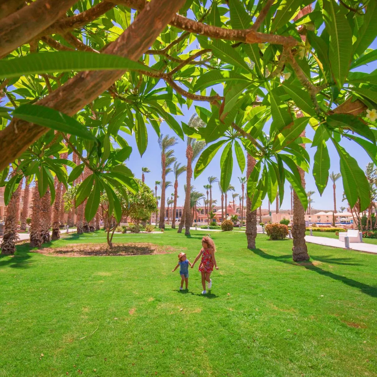 Image 5 of Beach Albatros Aqua Park – Hurghada