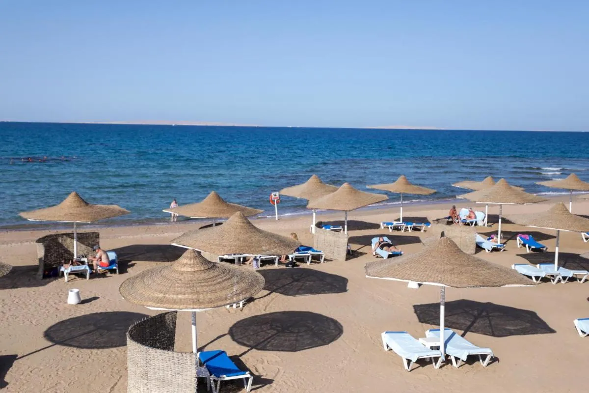 Image 4 of Calimera Blend Paradise