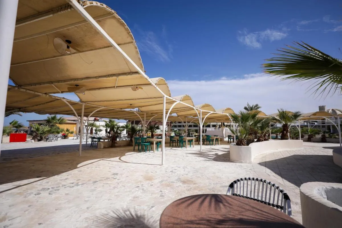 Image 1 of Calimera Blend Paradise