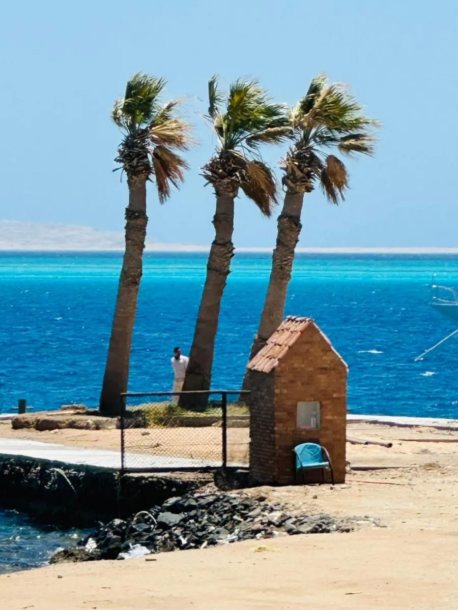 Image 5 of Jazz House Hurghada canter with WI FI