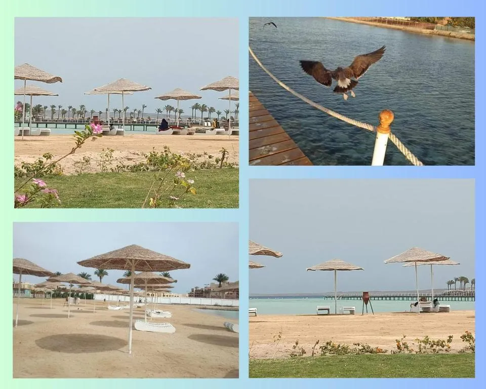 Image of Scandic Resort: Comfy & Cozy. A433