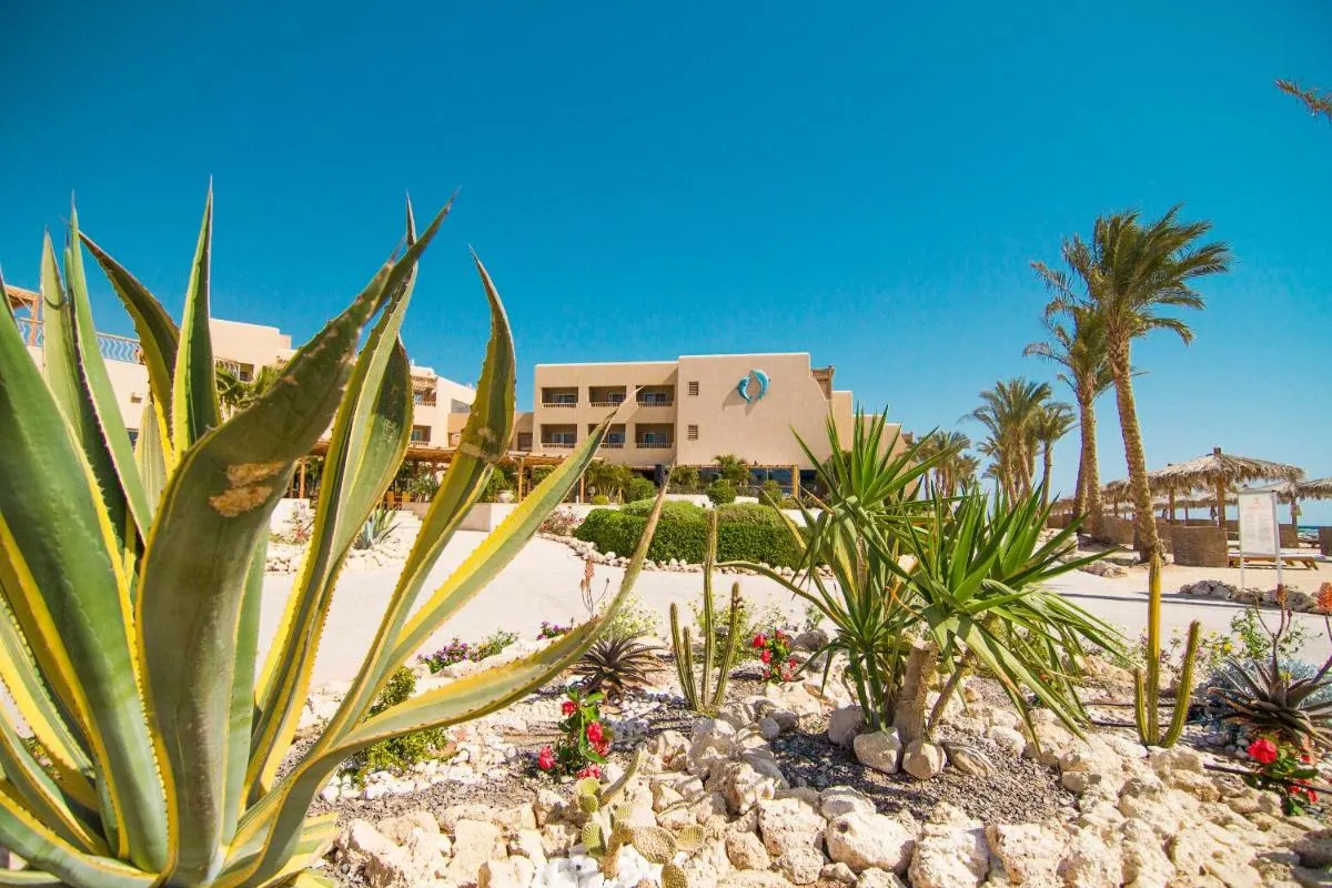 Image 1 of The Breakers Diving and Surfing Lodge Soma Bay