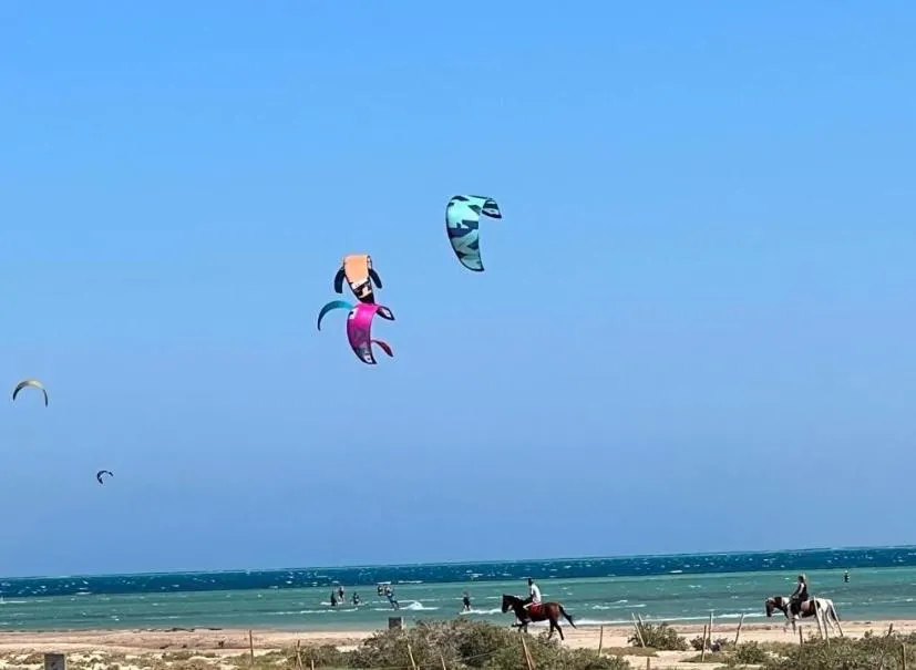 Image of Mangroovy Gouna 1 BR apartment