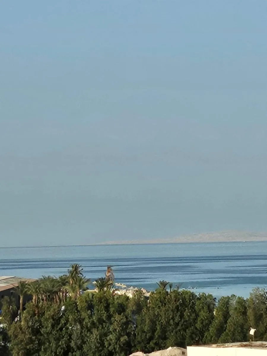 Image 2 of Sea view 1 bedroom flat beside Russian consulate