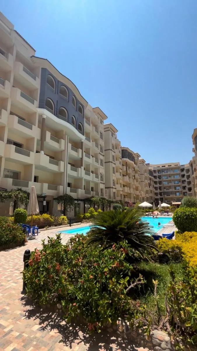 Image 4 of florenza Khamsin