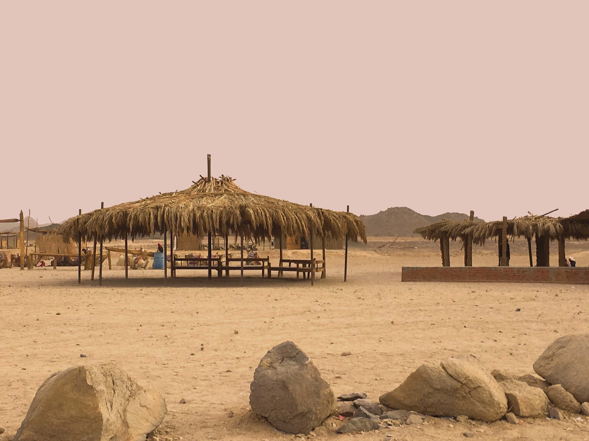 Bedouin Village Visit